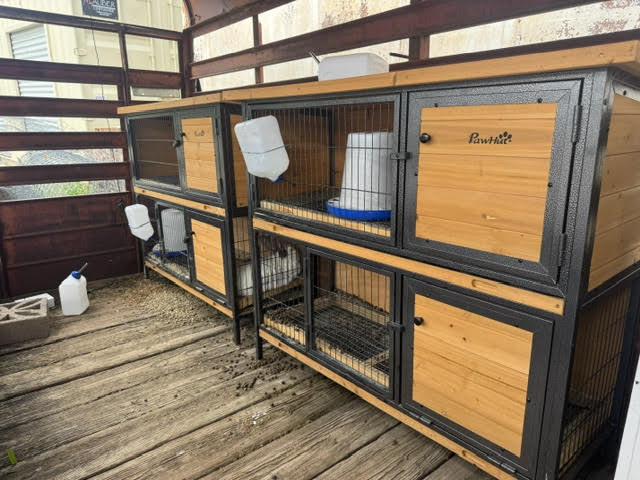 Stacked rabbit cages on the farm
